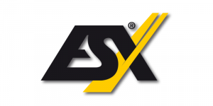 Logo - ESX